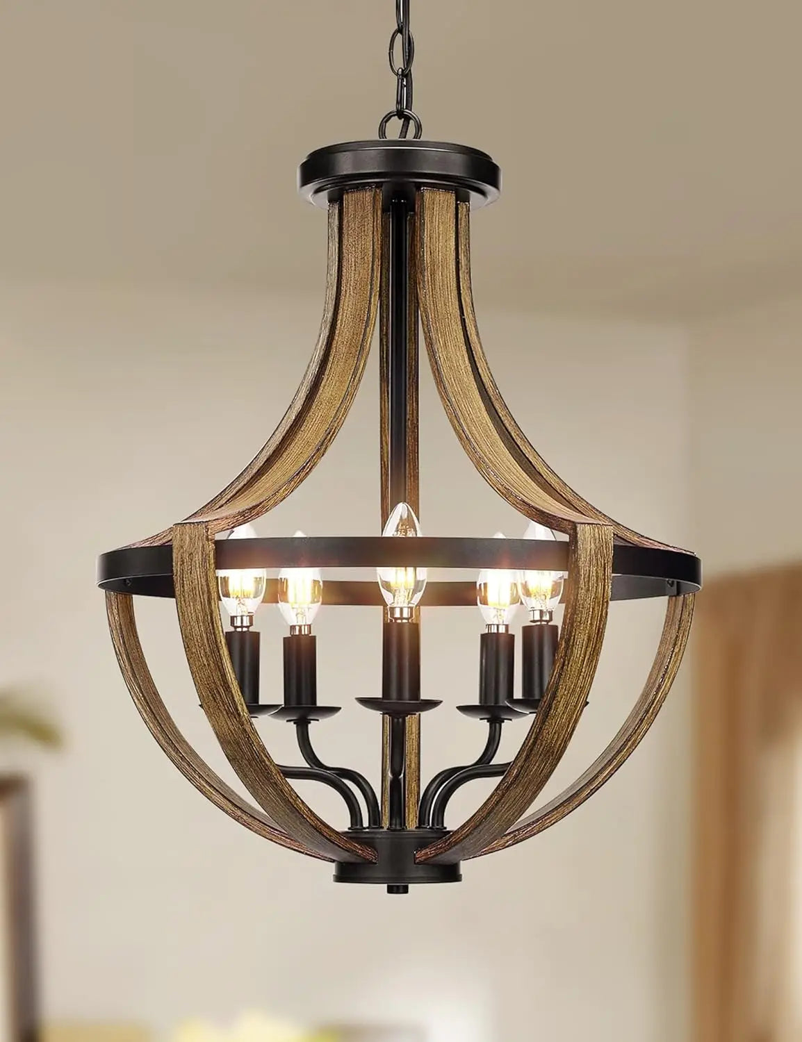 Hanging Pendant Chandelier Light Fixture
