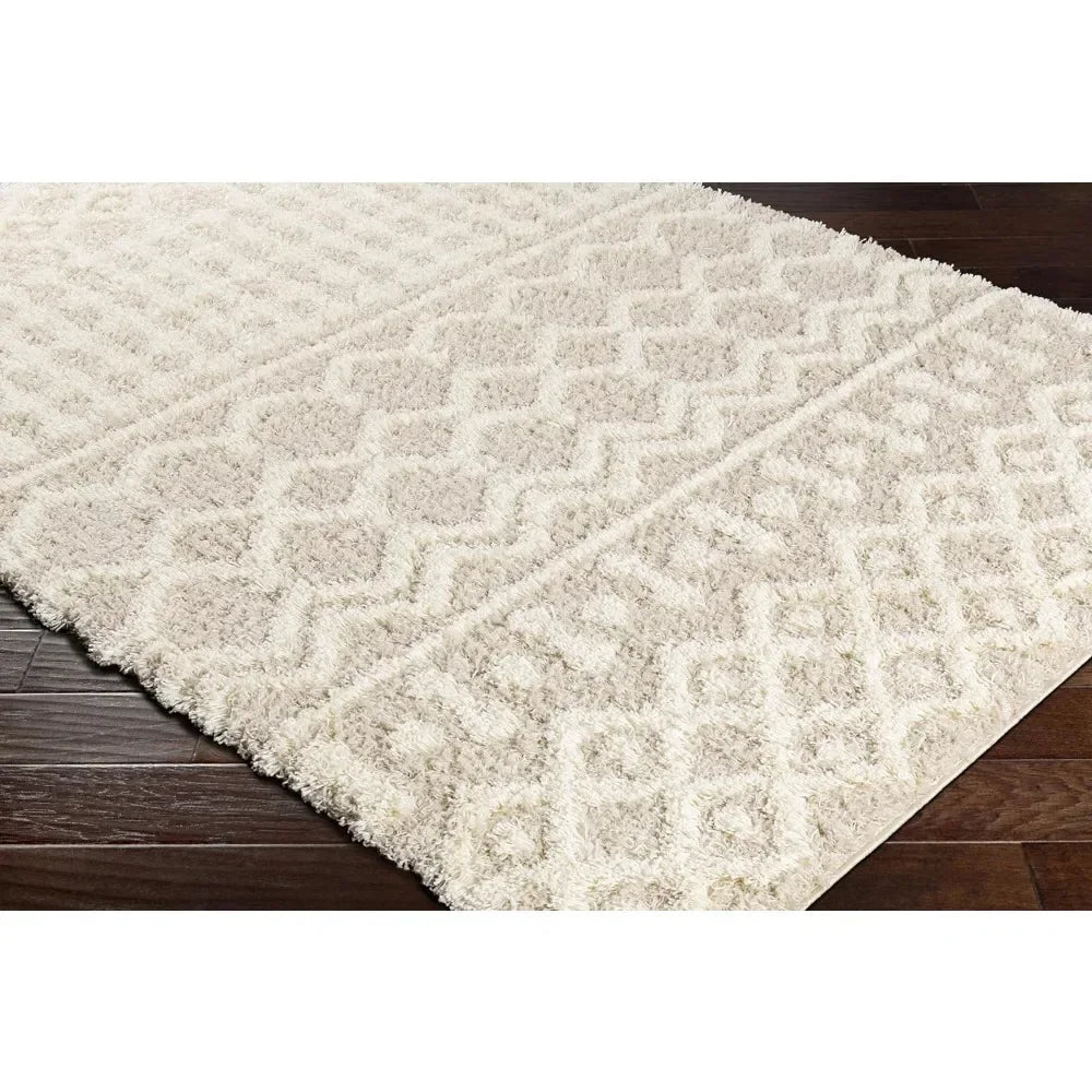 2”7“ X 10” Living Room Shag Runner Rug