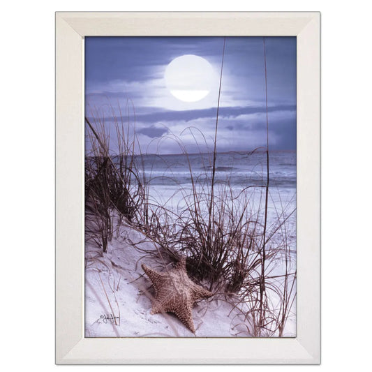 Framed Wall Art - Seashore print