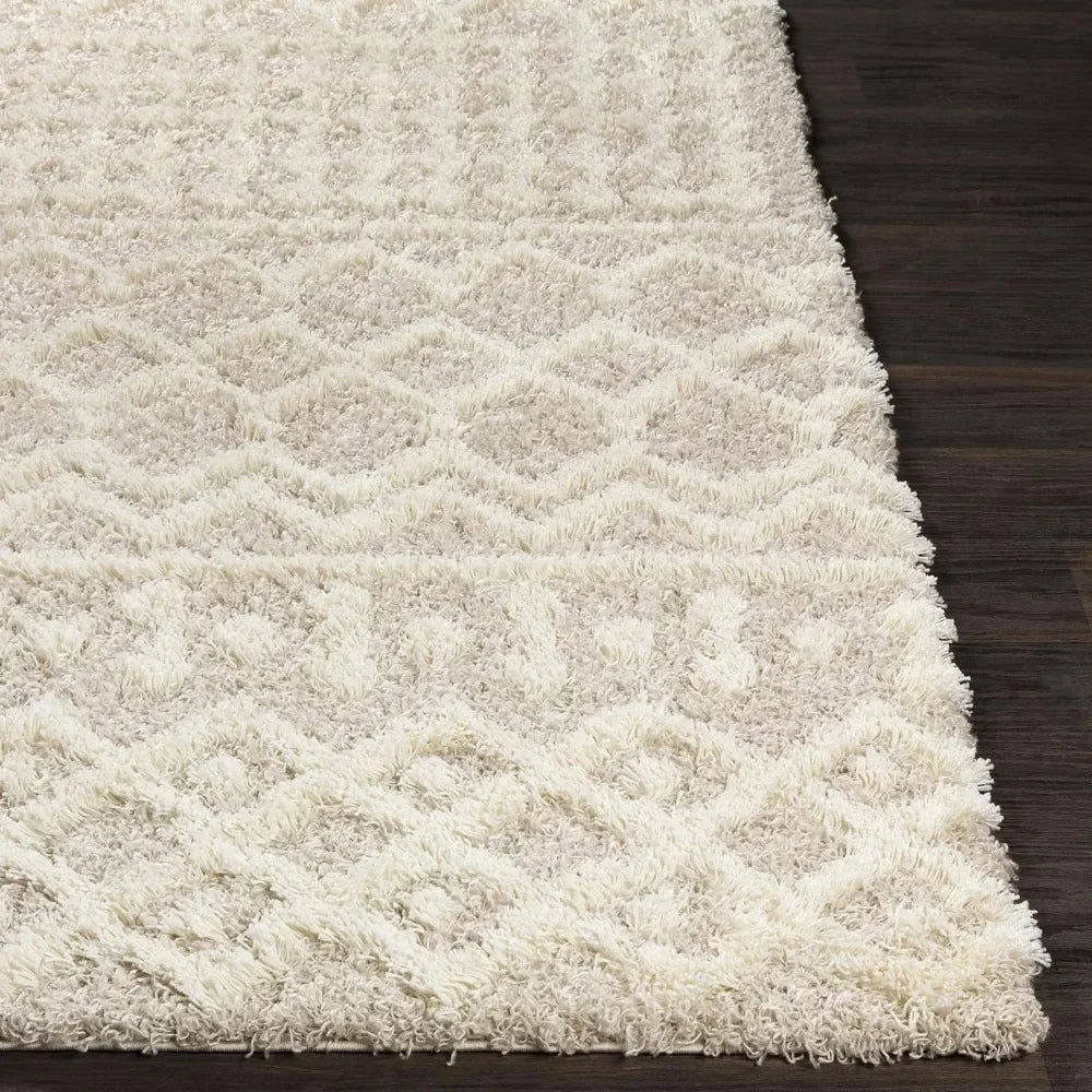 2”7“ X 10” Living Room Shag Runner Rug